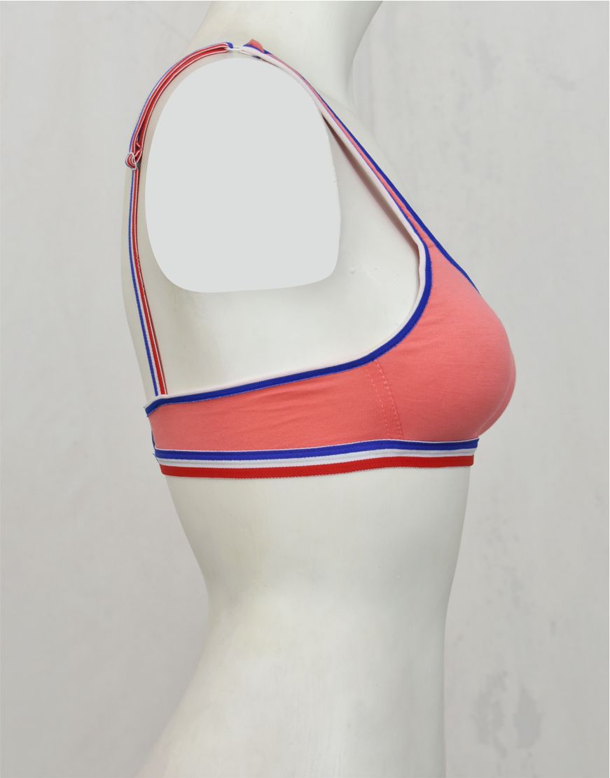 Leftover Padded Bras