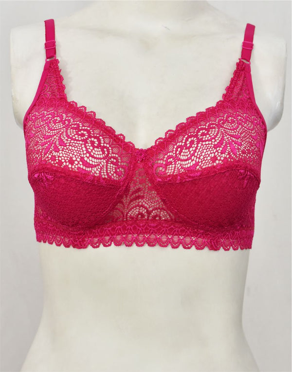 Floral Lace Net Fancy Bra (FB82)