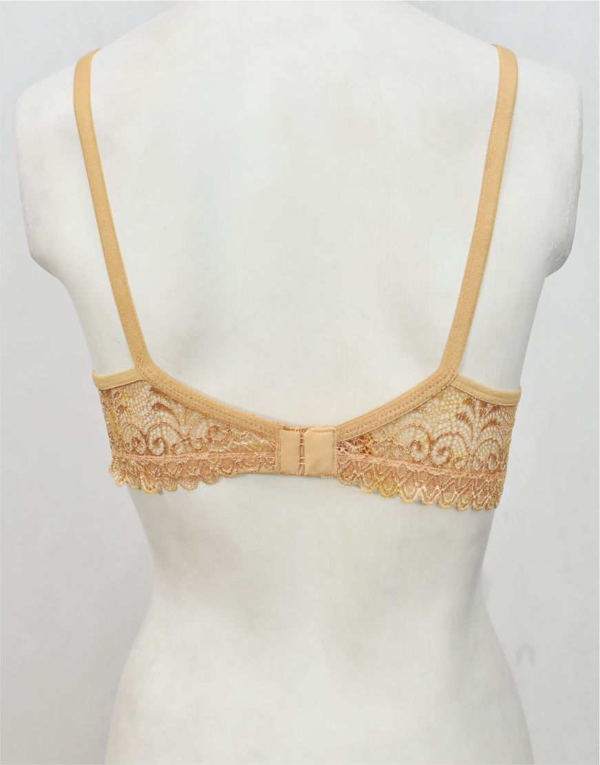 Floral Lace Net Fancy Bra (FB82)