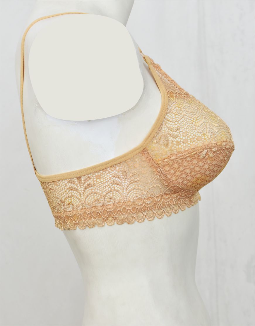 Floral Lace Net Fancy Bra (FB82)