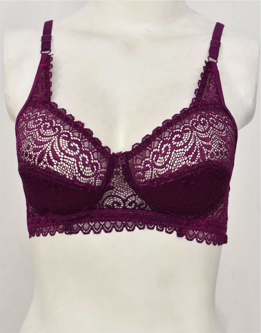 Floral Lace Net Fancy Bra (FB82)