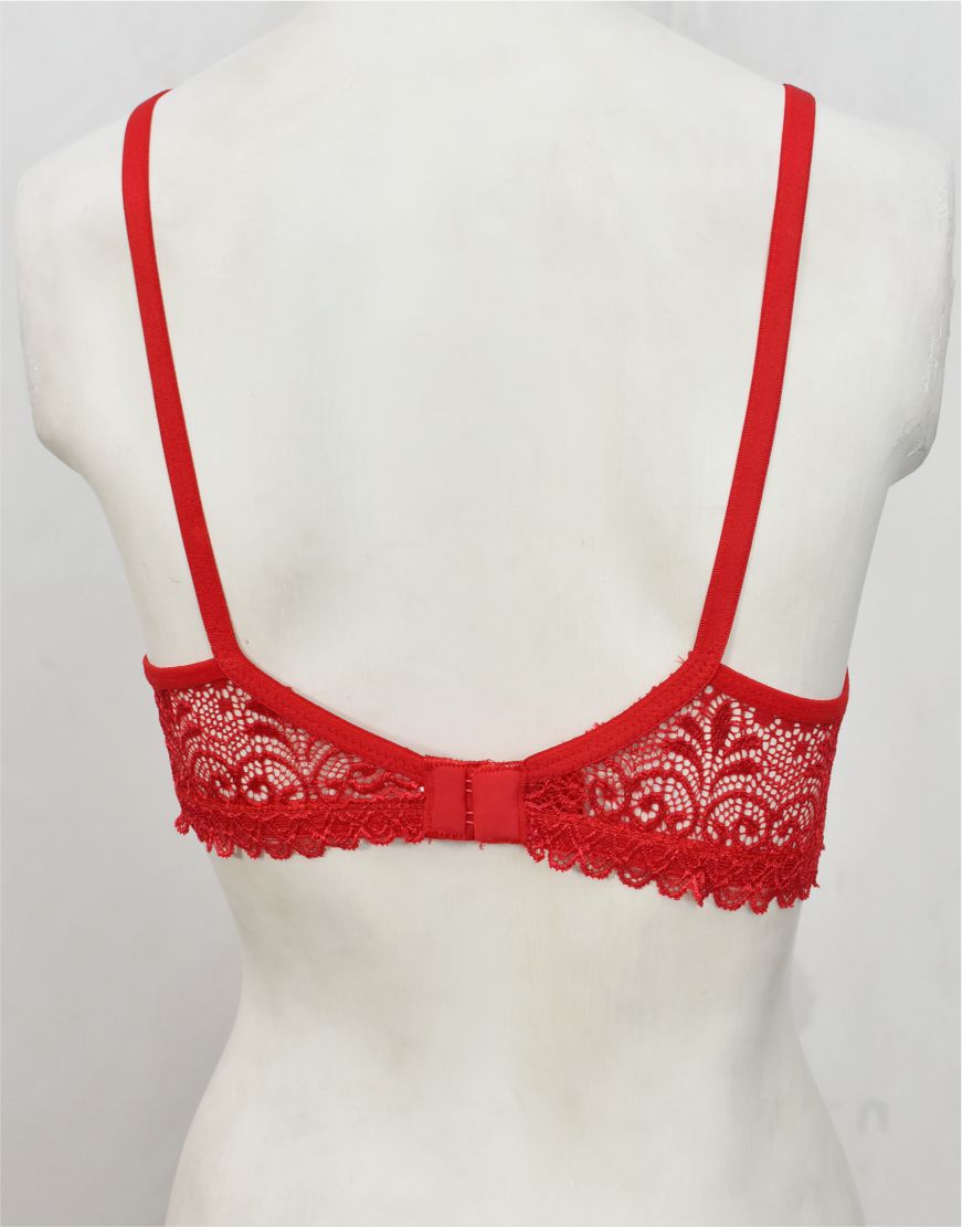 Floral Lace Net Fancy Bra (FB82)
