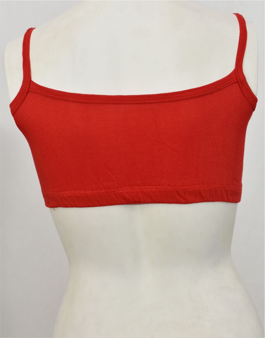 Matching Beginner Blouse Bra BL53