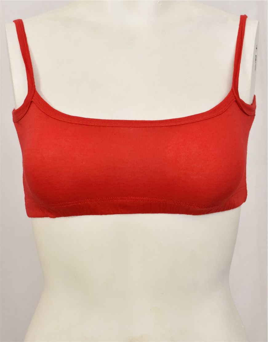 Matching Beginner Blouse Bra BL53