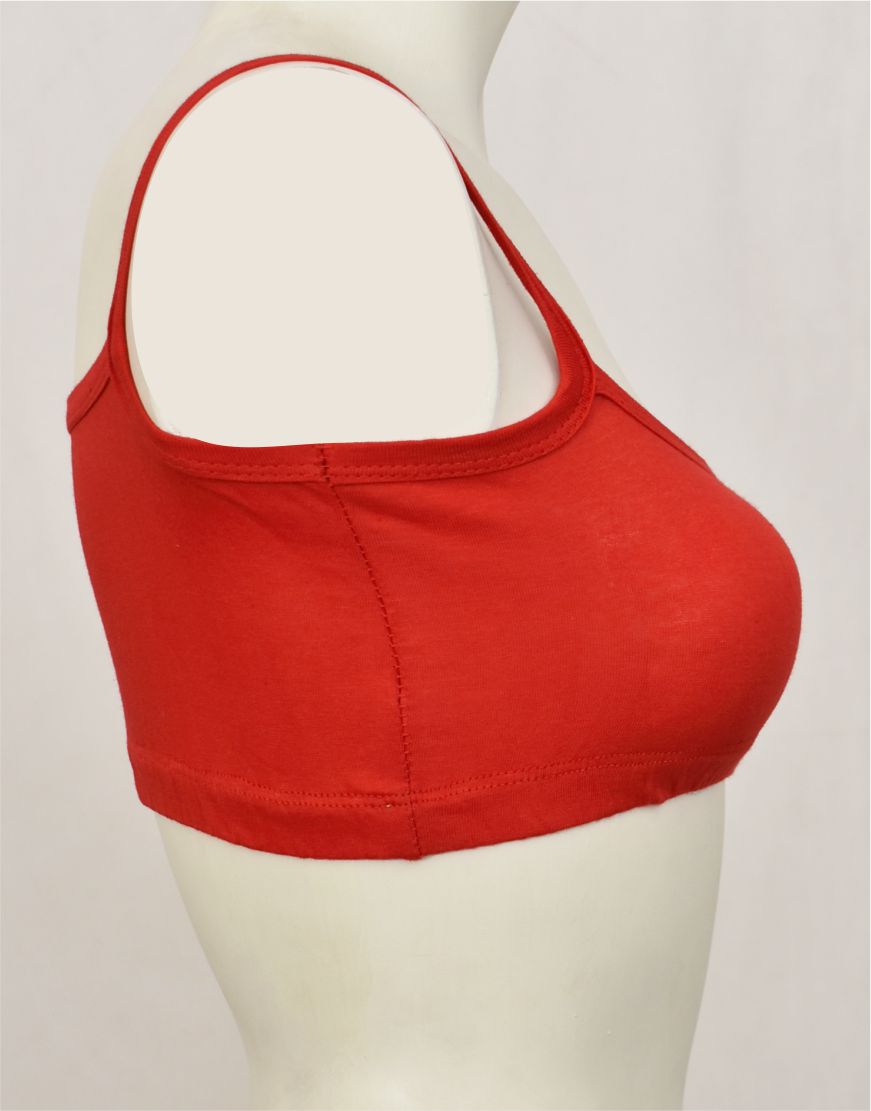 Matching Beginner Blouse Bra BL53