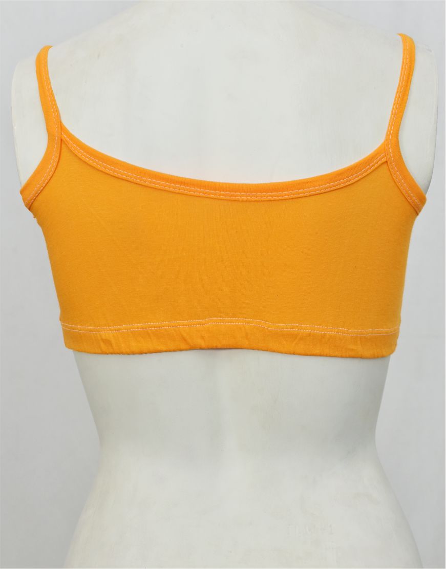 Matching Beginner Blouse Bra BL53