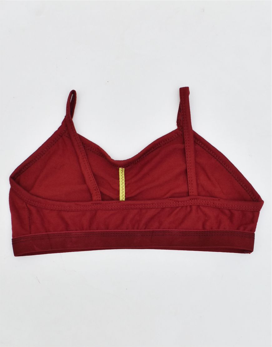 Beginner Blouse Bra BL55