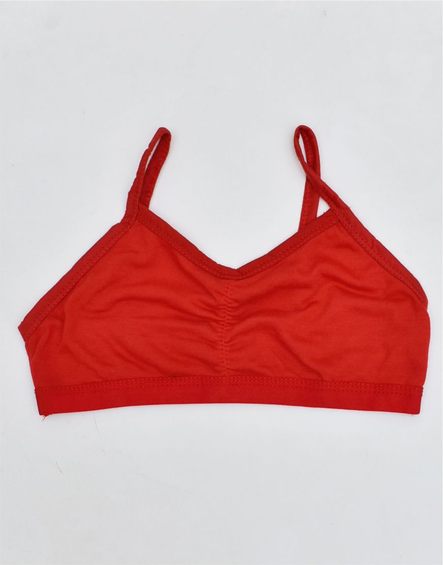 Beginner Blouse Bra BL55