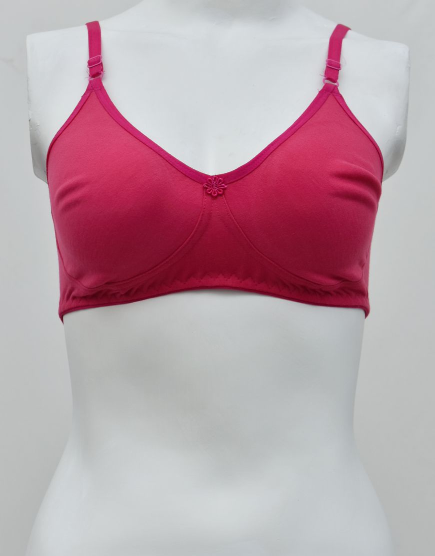 Premium Quality Comfy Matching Seamless T-shirt Bra
