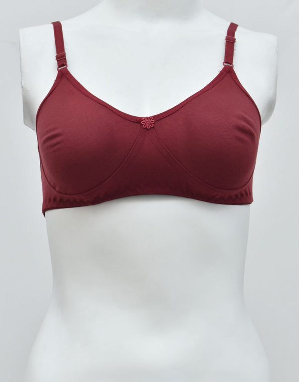Premium Quality Comfy Matching Seamless T-shirt Bra