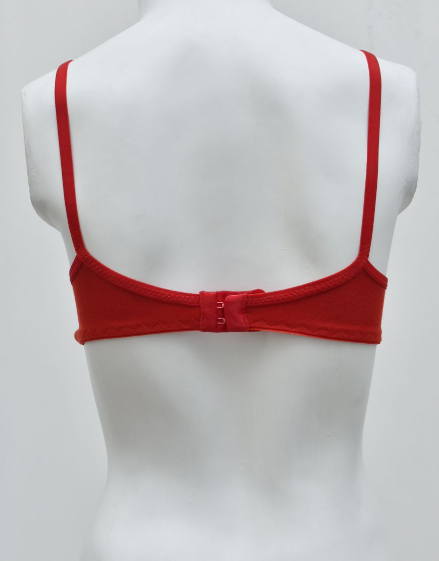 Premium Quality Comfy Matching Seamless T-shirt Bra