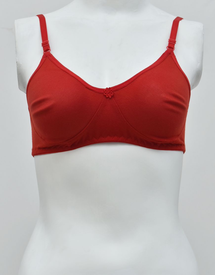 Premium Quality Comfy Matching Seamless T-shirt Bra