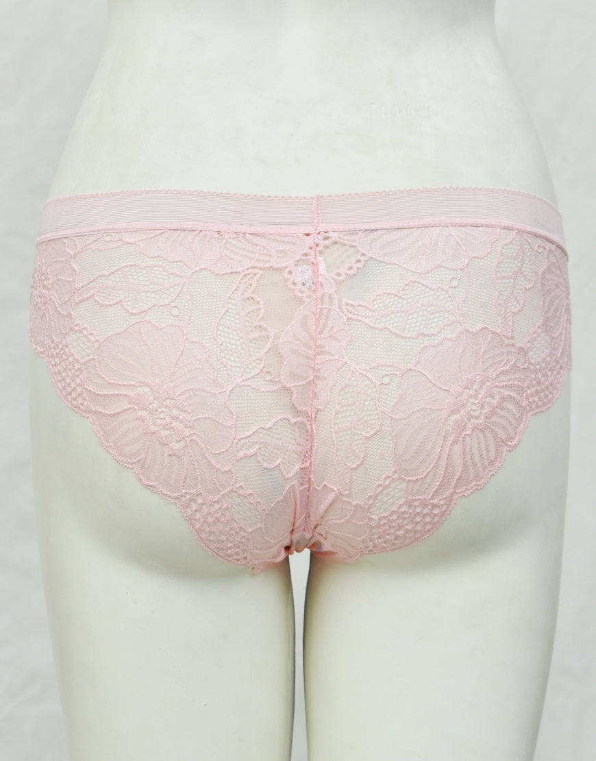 See-through Full Brief Net Panty