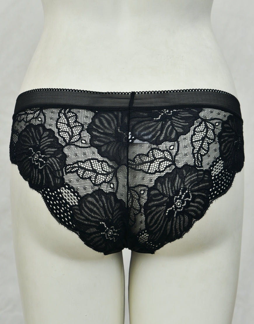 See-through Full Brief Net Panty