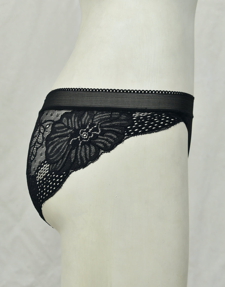 See-through Full Brief Net Panty