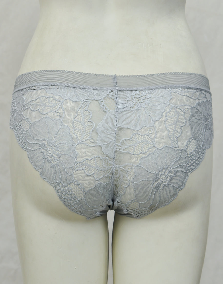 See-through Full Brief Net Panty