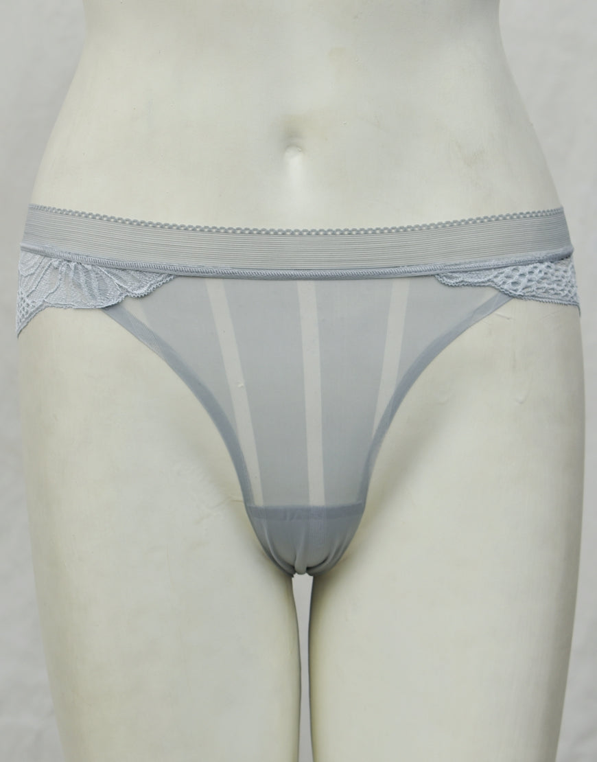 See-through Full Brief Net Panty