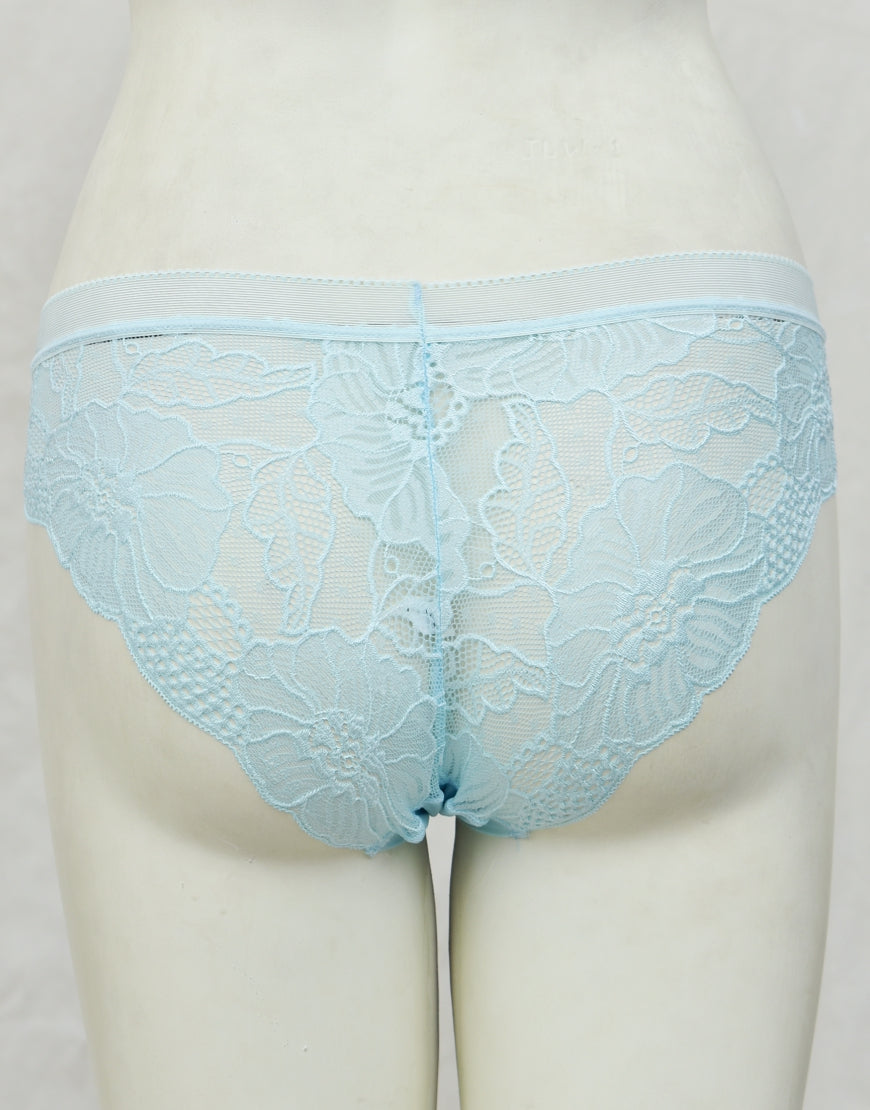 See-through Full Brief Net Panty