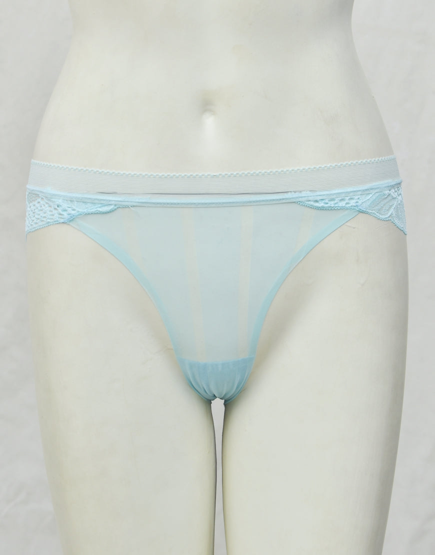 See-through Full Brief Net Panty