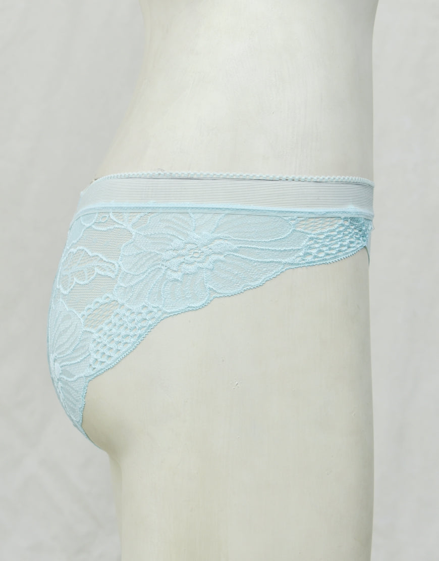 See-through Full Brief Net Panty