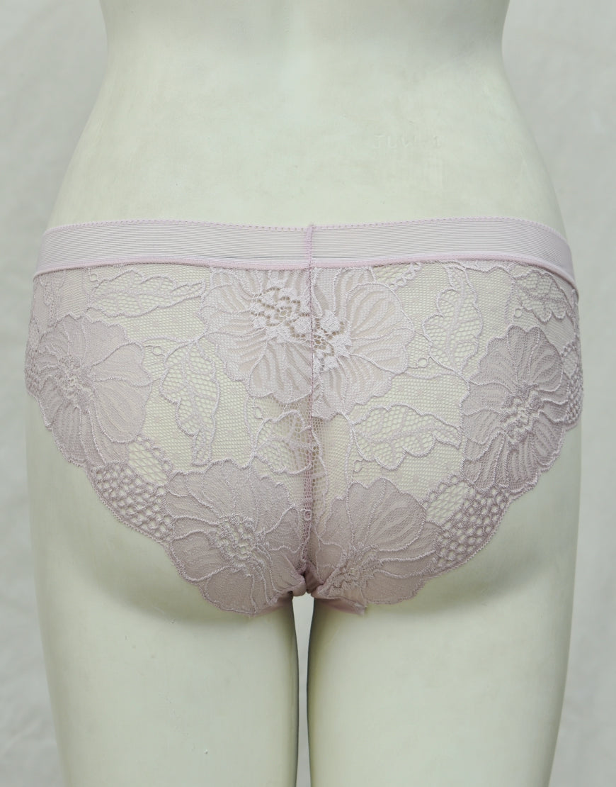 See-through Full Brief Net Panty