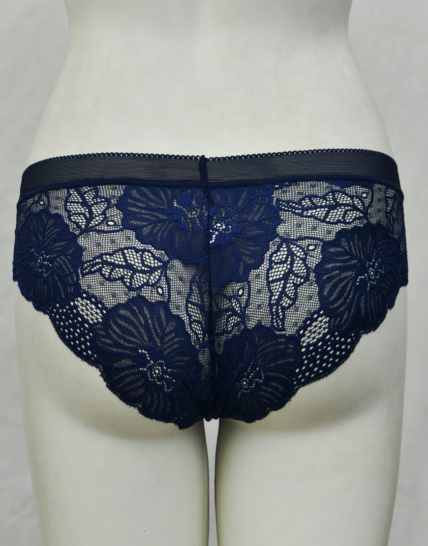 See-through Full Brief Net Panty