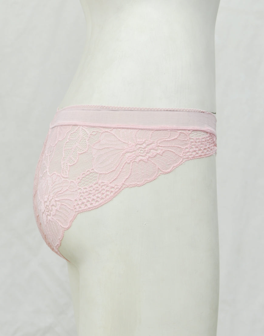 See-through Full Brief Net Panty