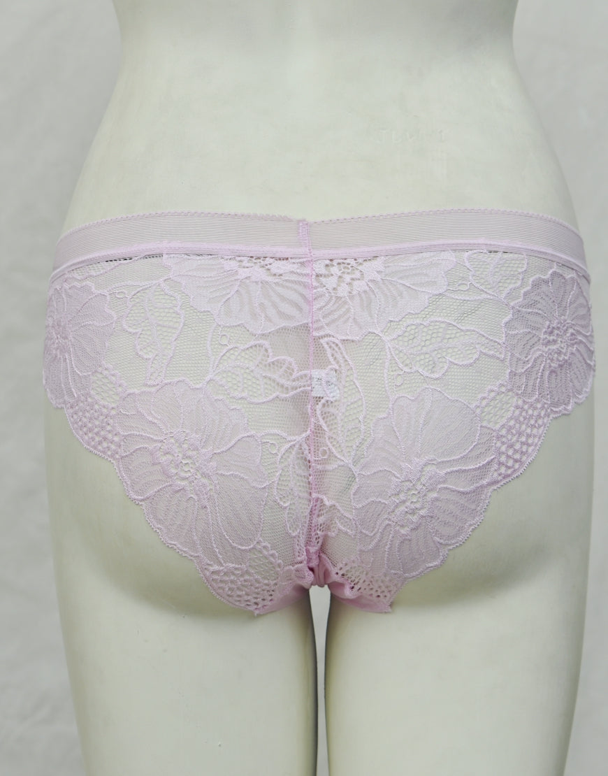 See-through Full Brief Net Panty