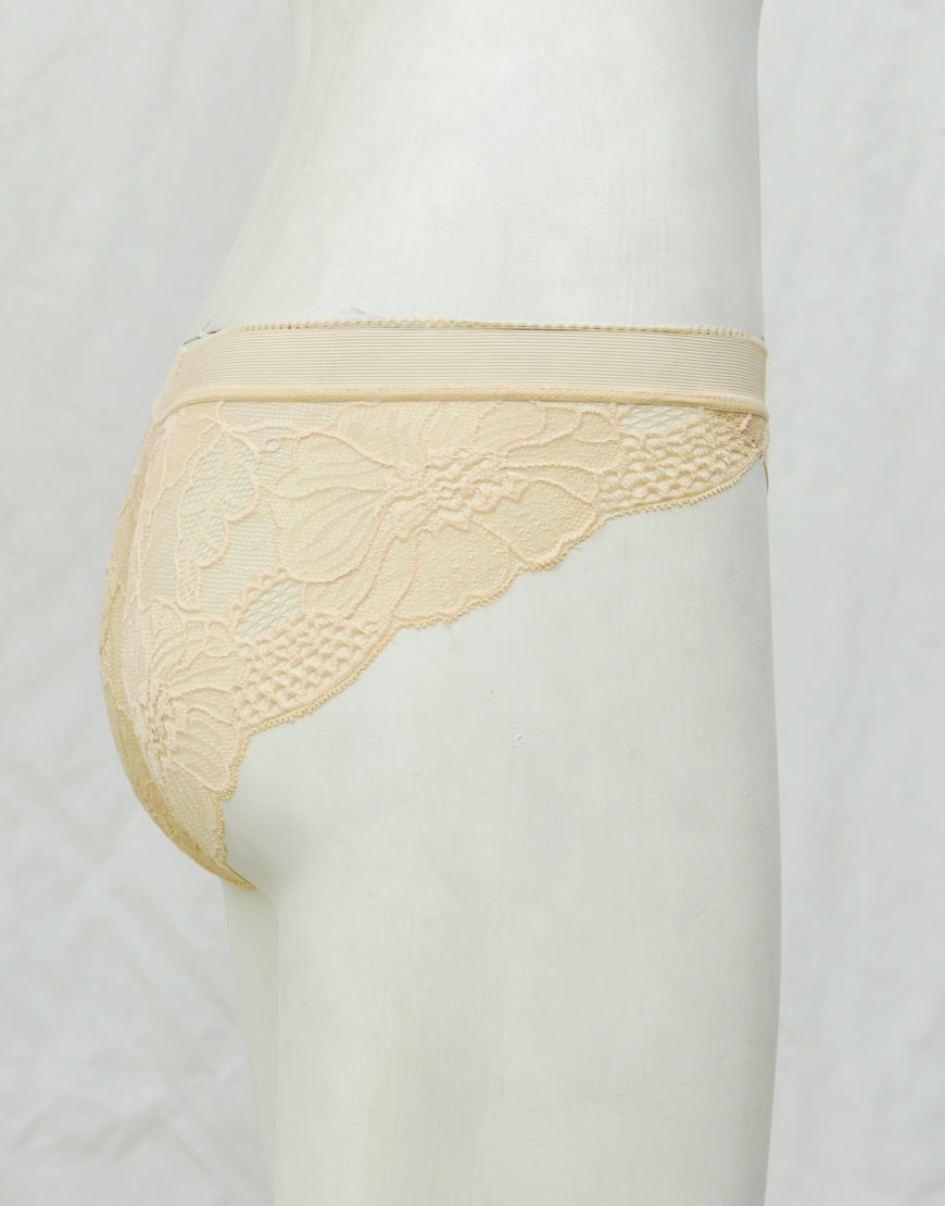 See-through Full Brief Net Panty