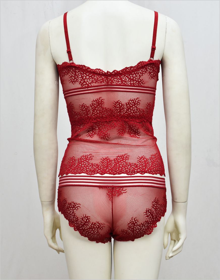 Stylish Body Hugging See-through Net Cami Set