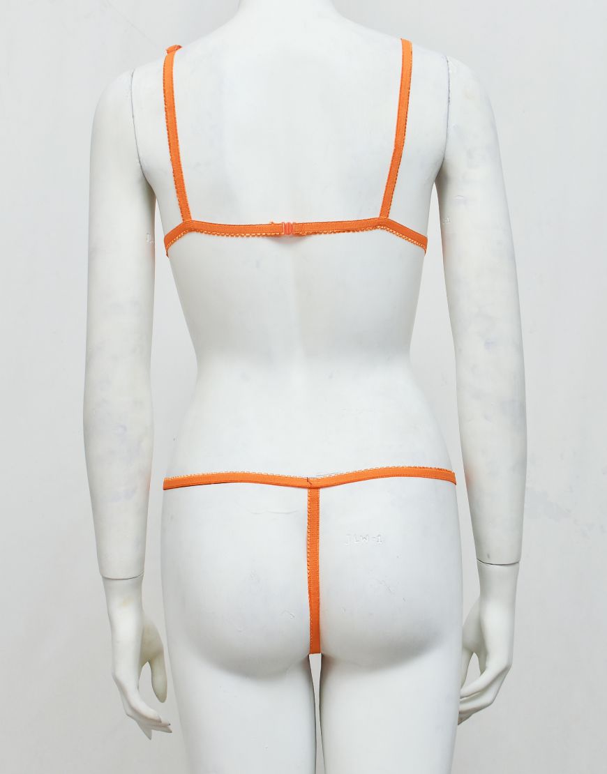Intimate Wear Embroidered See-through Bra Panty Set