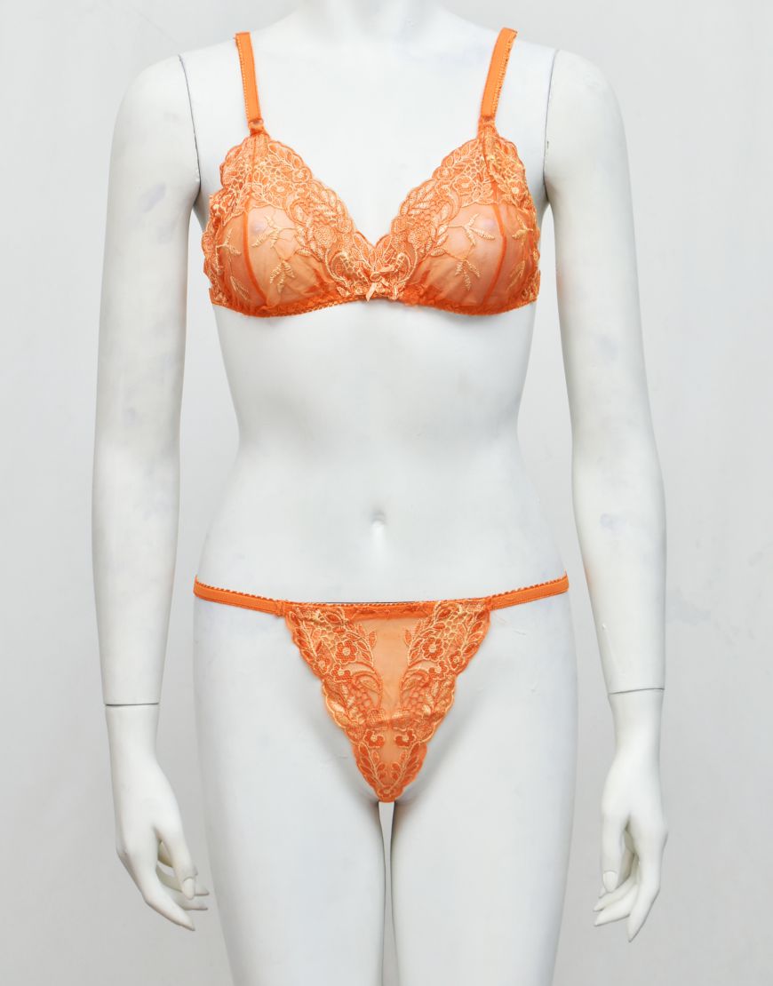 Intimate Wear Embroidered See-through Bra Panty Set