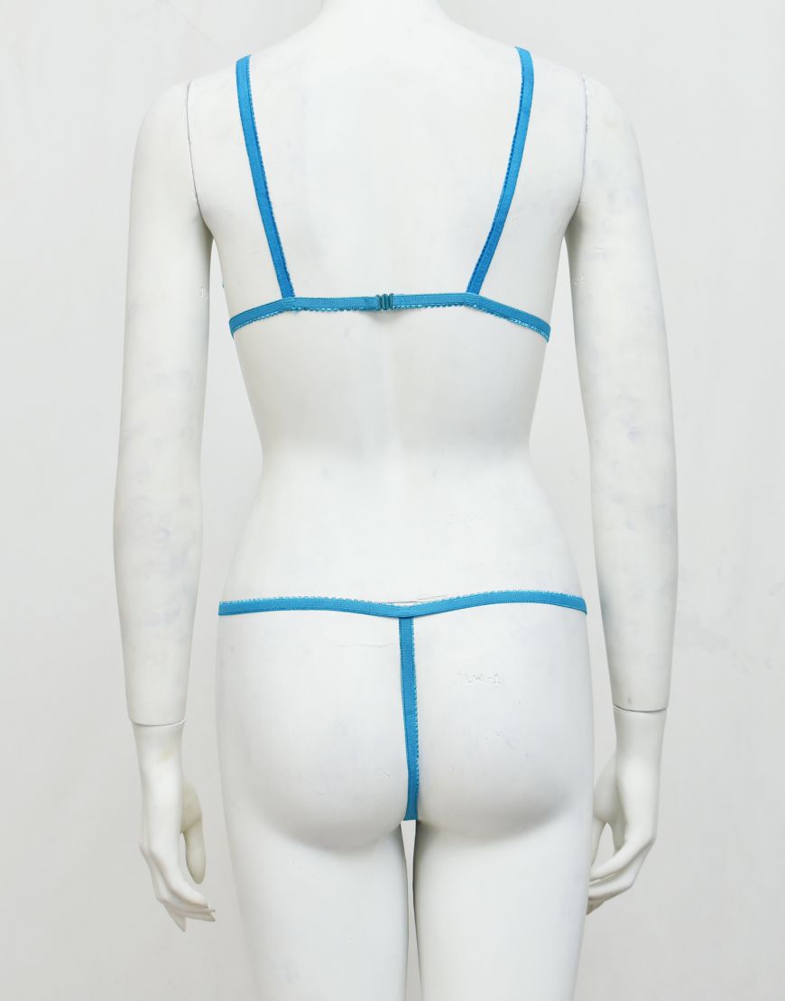 Intimate Wear Embroidered See-through Bra Panty Set