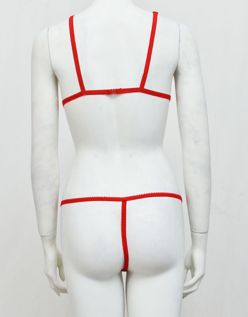 Intimate Wear Embroidered See-through Bra Panty Set