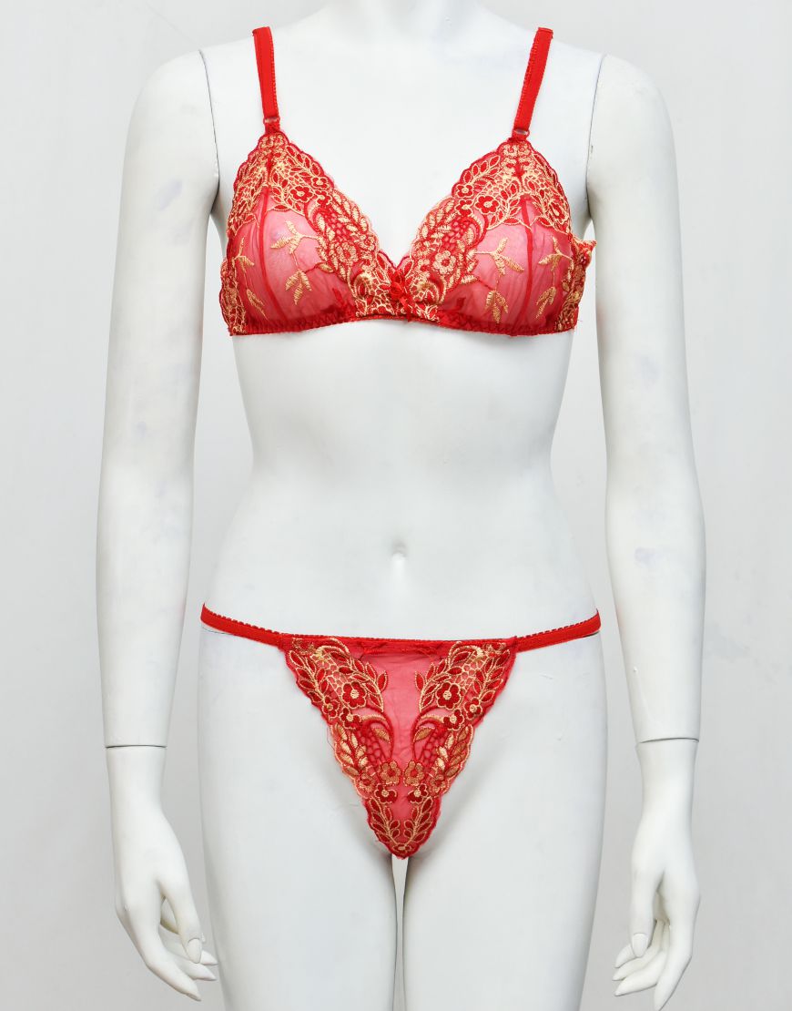 Intimate Wear Embroidered See-through Bra Panty Set