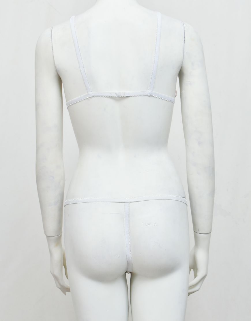 Intimate Wear Embroidered See-through Bra Panty Set