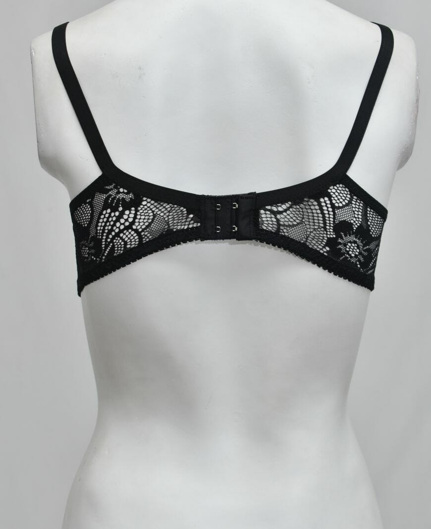 Schiffli Net Fancy Bra