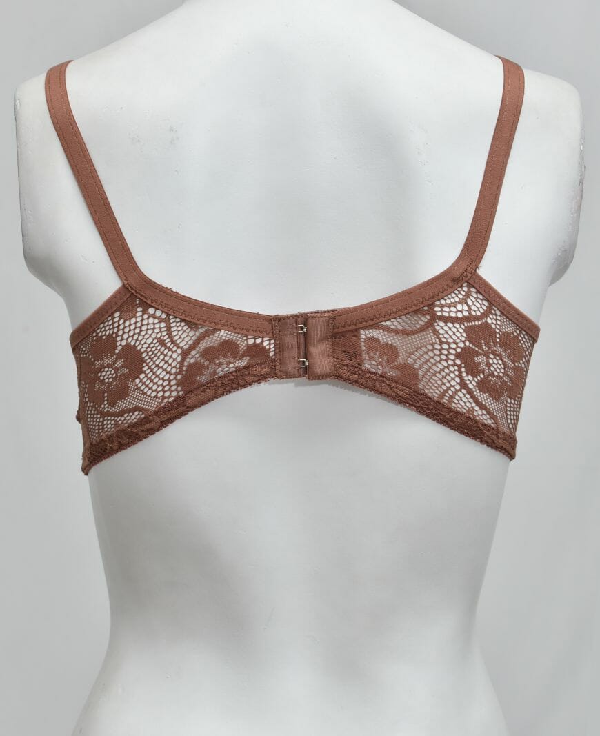 Schiffli Net Fancy Bra