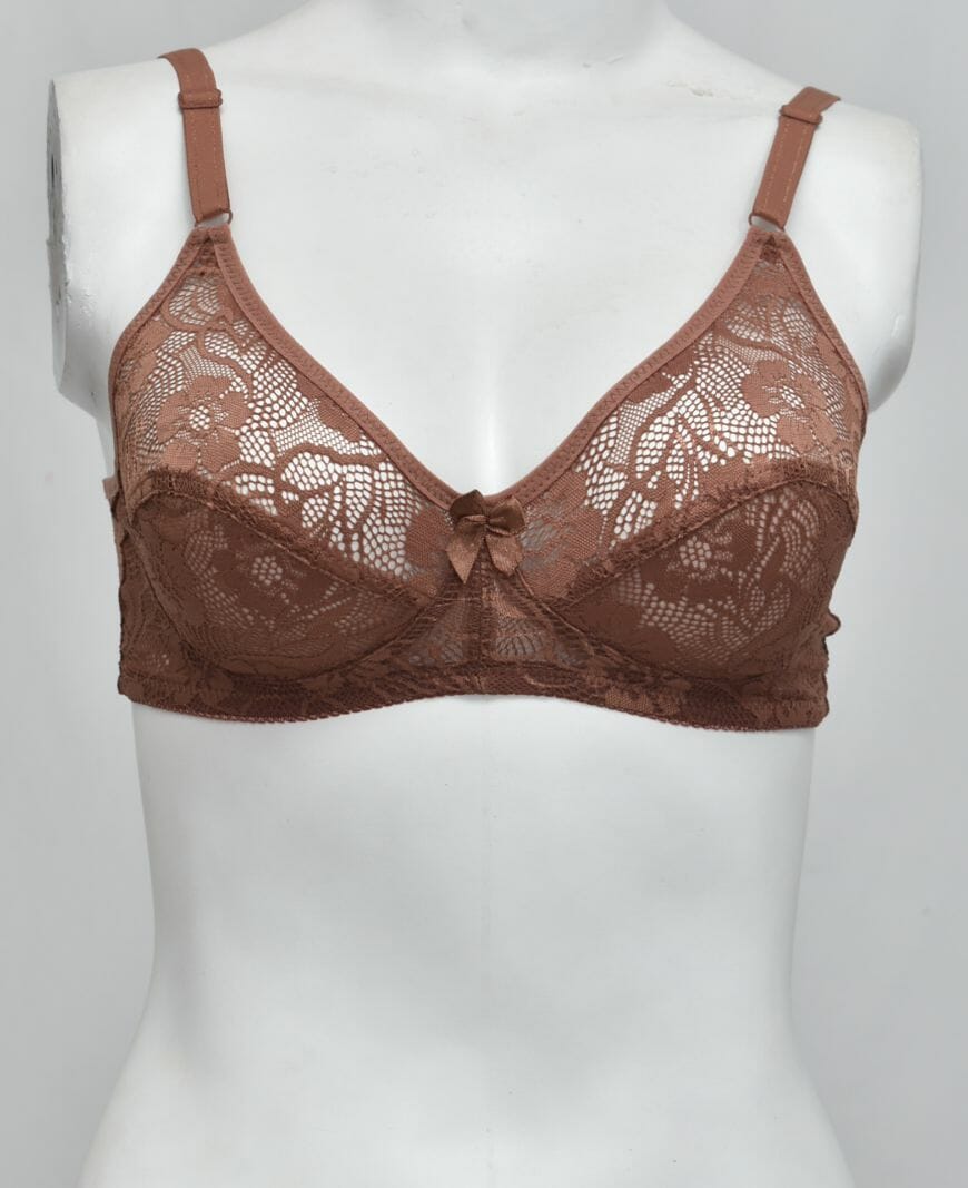 Schiffli Net Fancy Bra