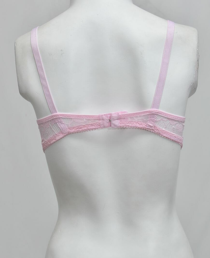 Schiffli Net Fancy Bra