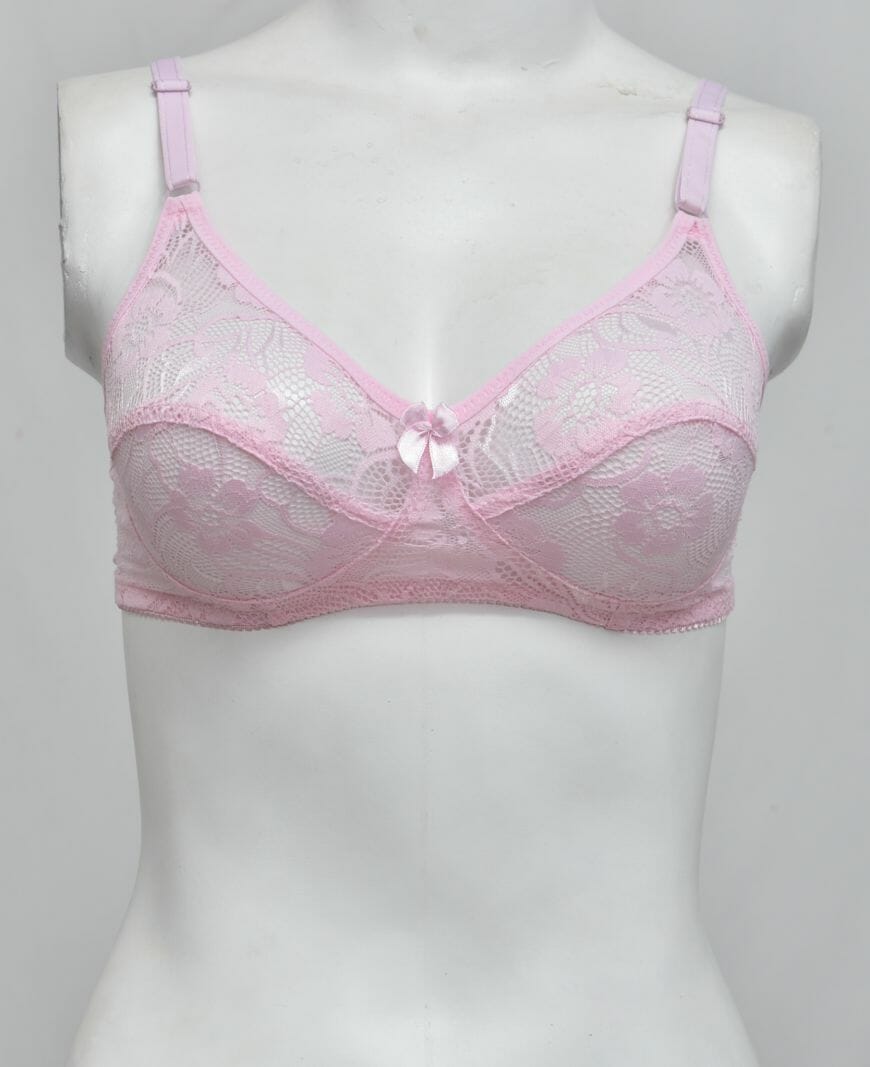 Schiffli Net Fancy Bra