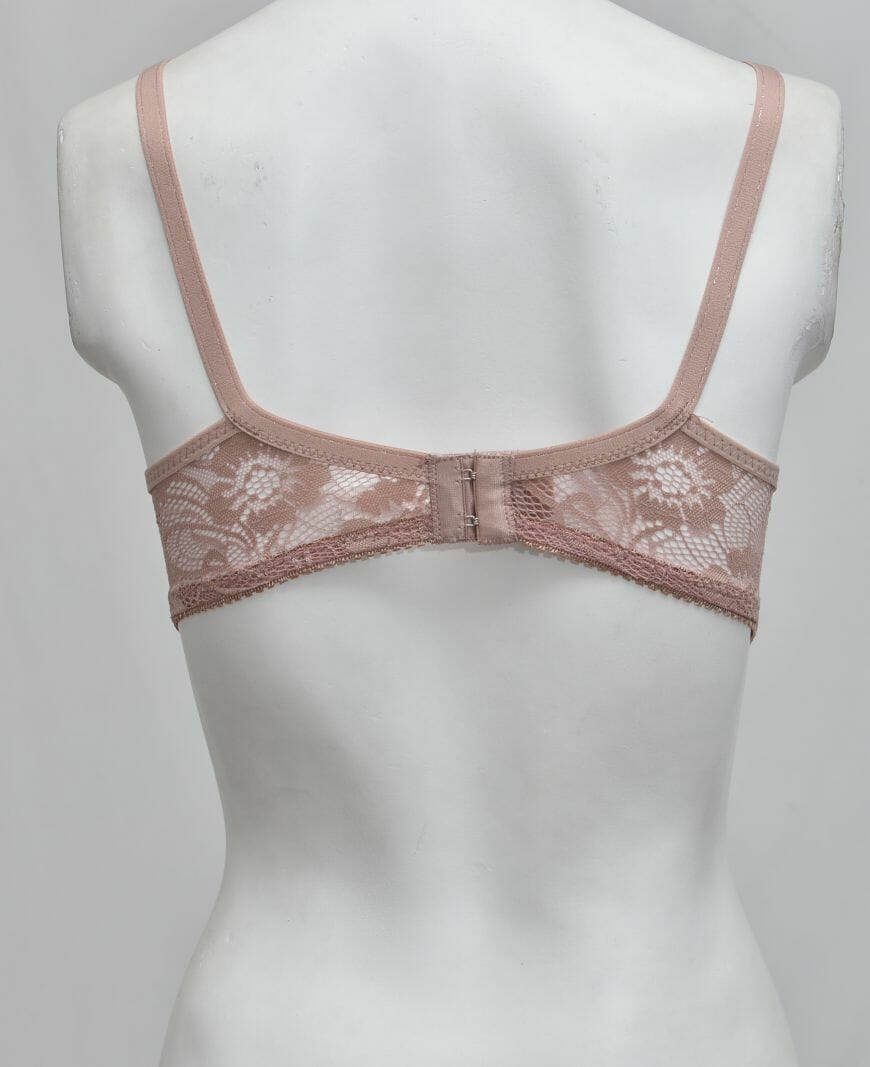 Schiffli Net Fancy Bra