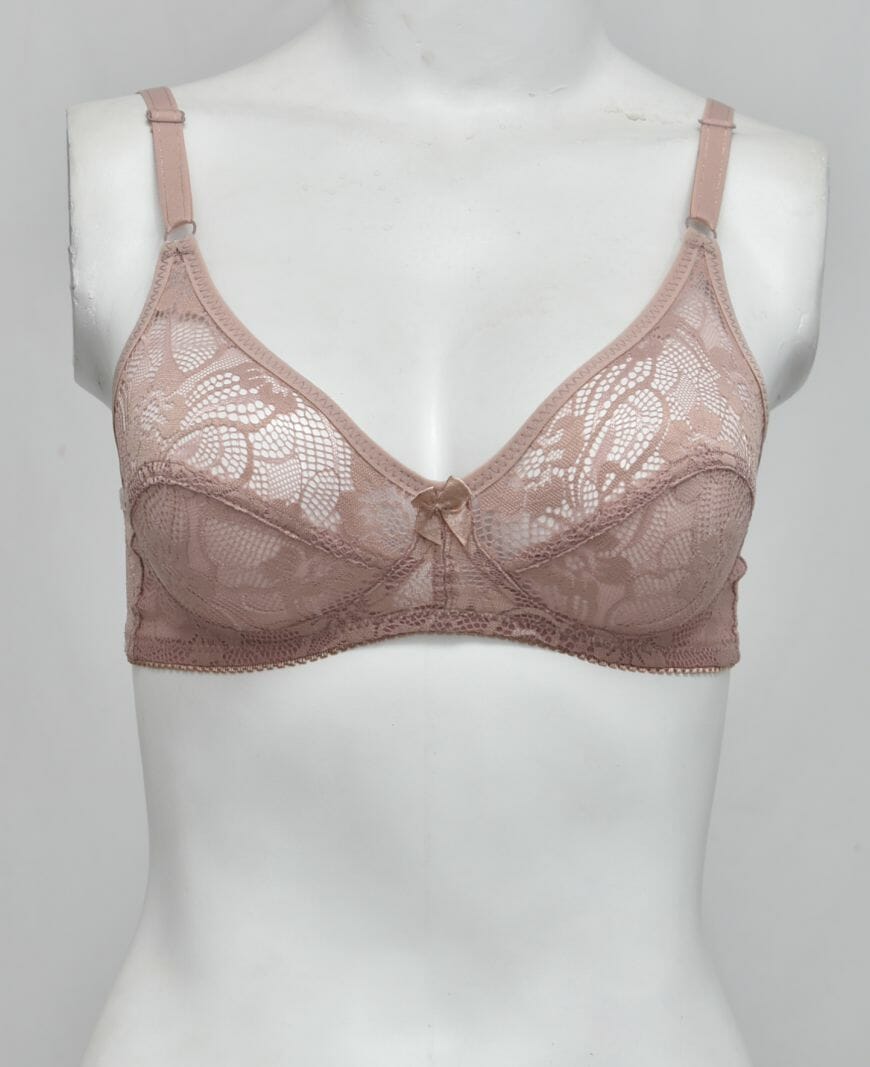 Schiffli Net Fancy Bra
