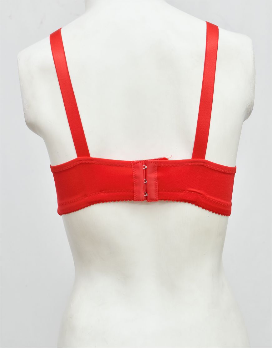 Fancy Single Padded Bra