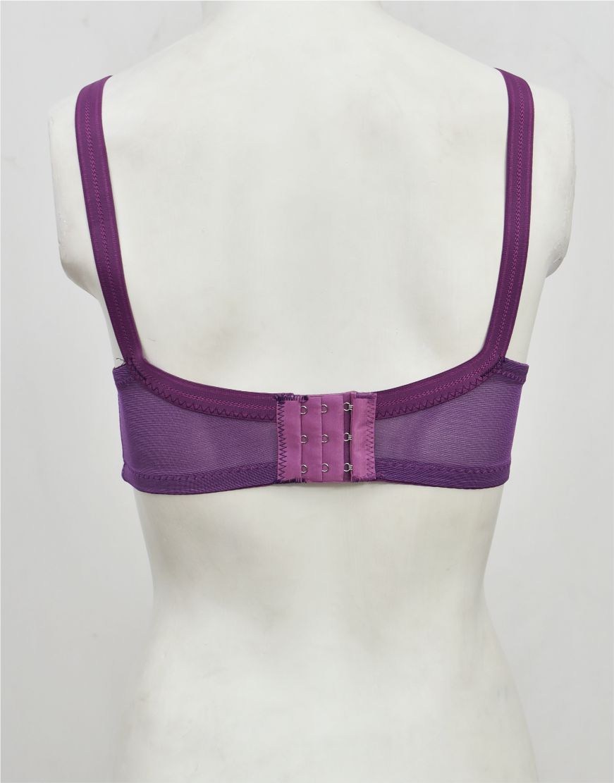 Fancy Net Bra with Soft Cup Lining