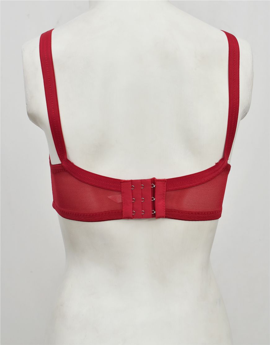Fancy Net Bra with Soft Cup Lining