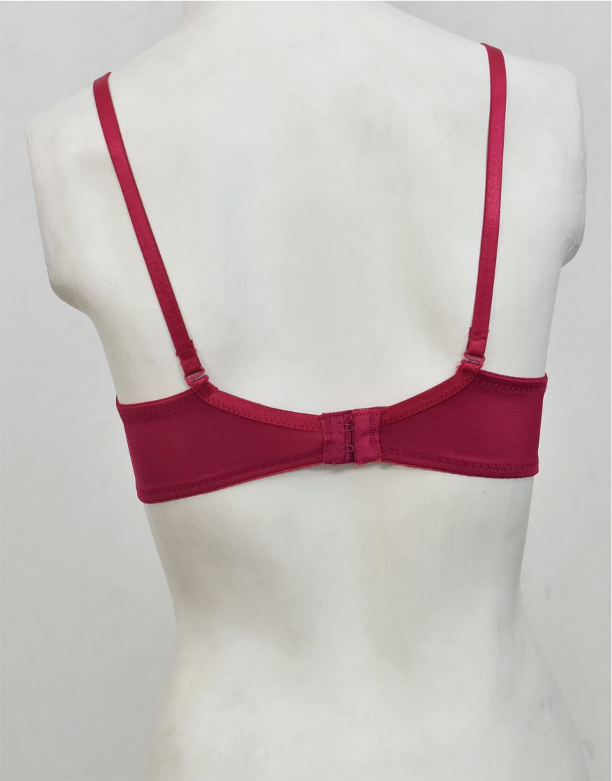 Underwired Fancy Net Bra with Soft Cup Lining
