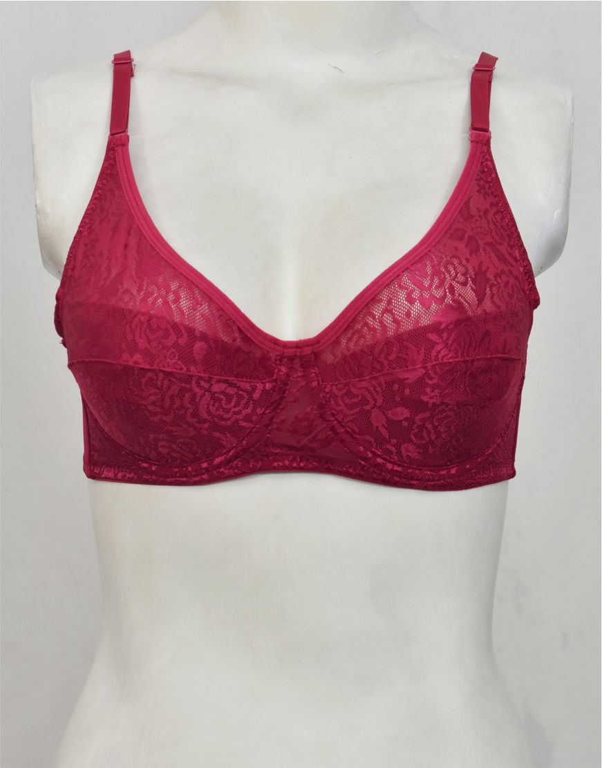 Underwired Fancy Net Bra with Soft Cup Lining