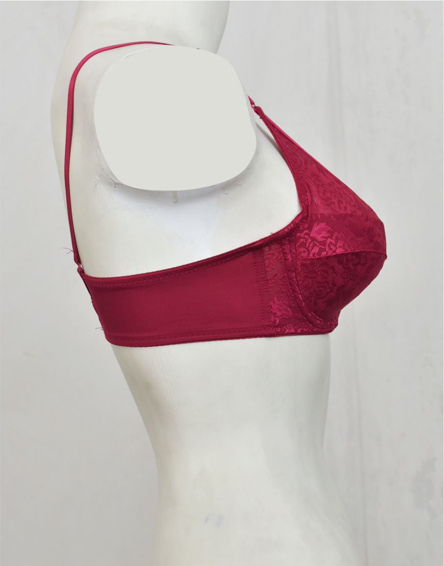 Underwired Fancy Net Bra with Soft Cup Lining