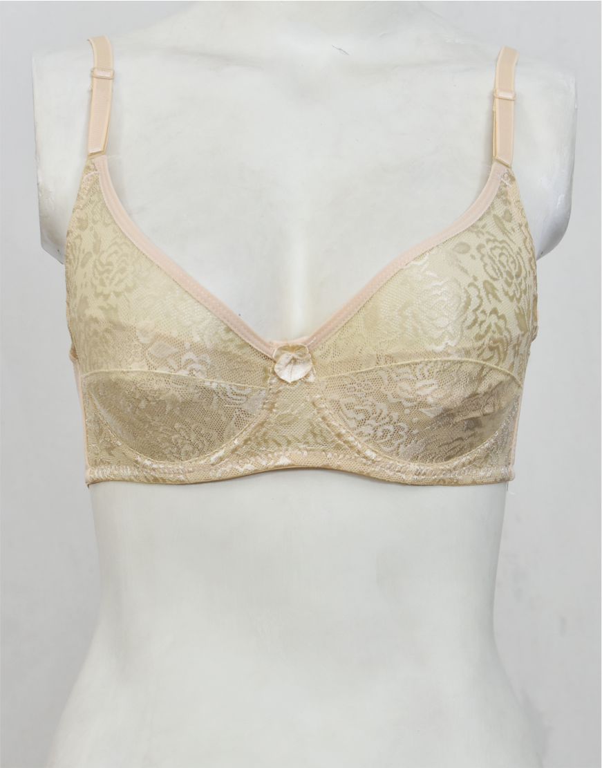 Underwired Fancy Net Bra with Soft Cup Lining